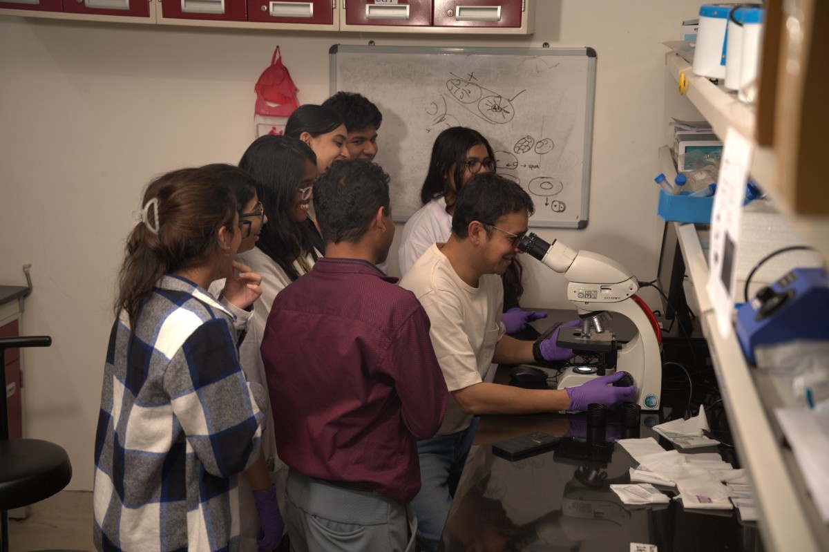 Research, Collaboration and Innovation